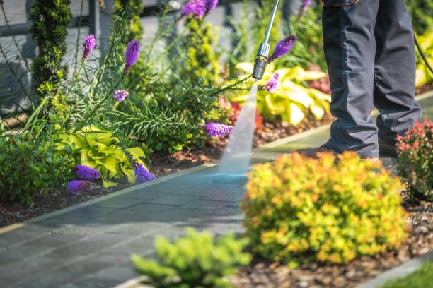 Best House Exterior Washing  in Keno, OR